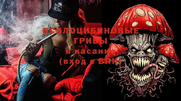 крисы Алексин