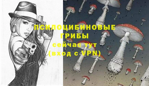 крисы Алексин