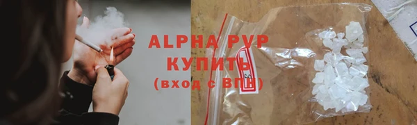 крисы Алексин
