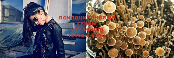 скорость Алексеевка
