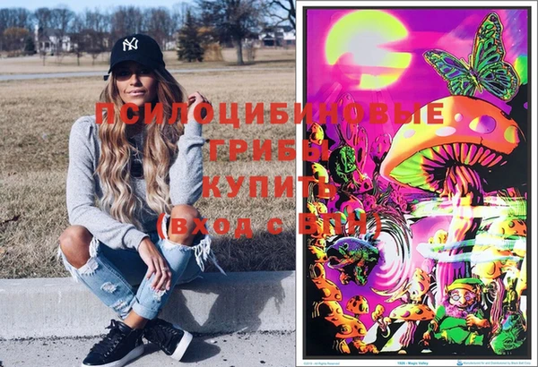 крисы Алексин