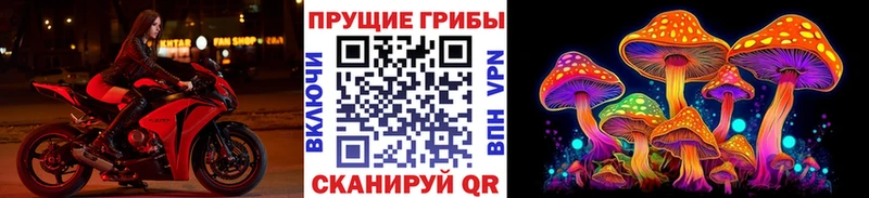 Псилоцибиновые грибы MAGIC MUSHROOMS  Кукмор 
